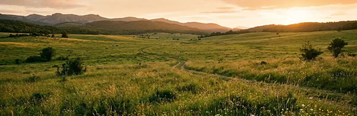 Open grassland beneath a distant ridge at sunset