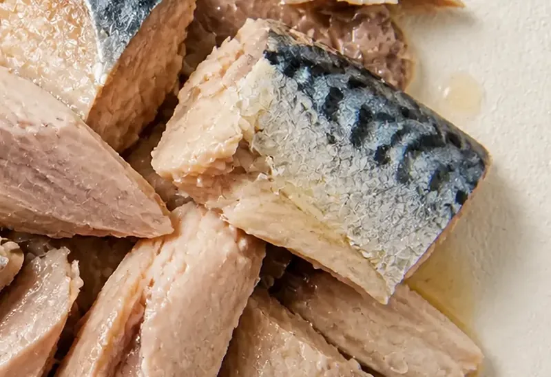 Mackerel in Oil &mdash; view 3
